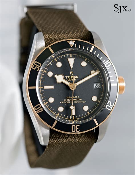 tudor heritage black bay 79733n|tudor black bay s&g.